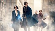 hinh-anh-moi-cua-fantastic-beasts-and-where-to-find-them-2-tiet-lo-moi-lien-ket-voi-harry-potter