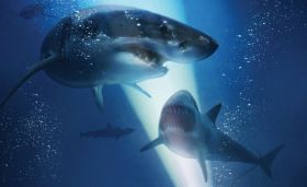 Hung Thần Đại Dương: Quá ít cá mập trong một bộ phim về cá mập