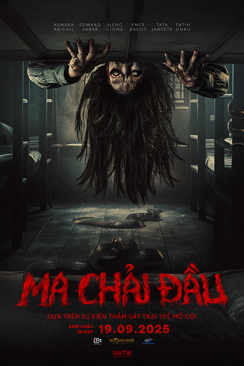 ma-chai-dau